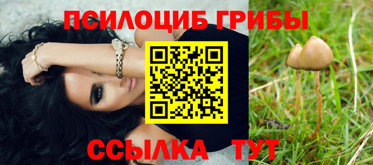 Кыштым  Галлюциногенные грибы MAGIC MUSHROOMS  Вход с VPN 