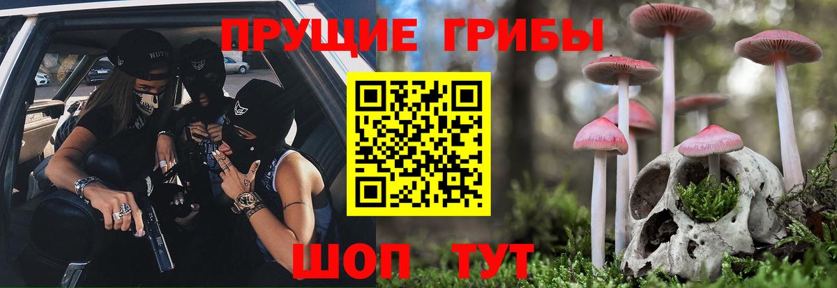 Псилоцибиновые грибы мицелий Кыштым